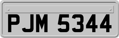 PJM5344