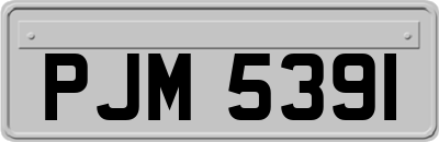 PJM5391