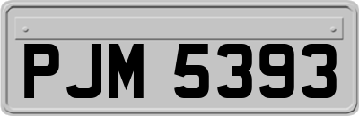 PJM5393