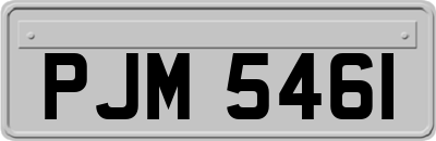PJM5461