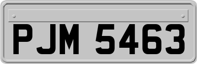 PJM5463