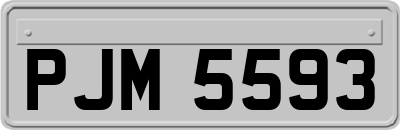 PJM5593