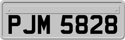 PJM5828