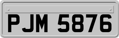 PJM5876
