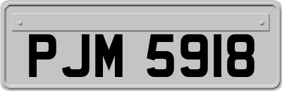 PJM5918