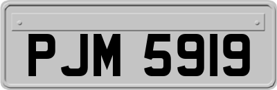 PJM5919