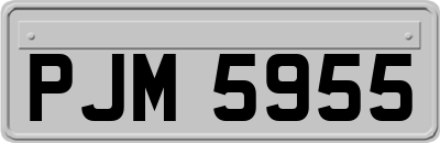 PJM5955