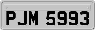 PJM5993