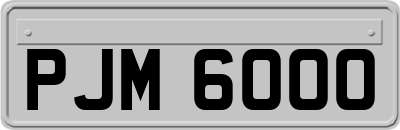 PJM6000