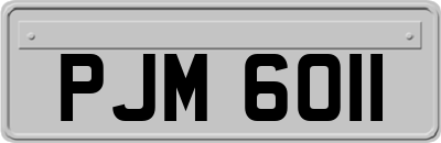PJM6011