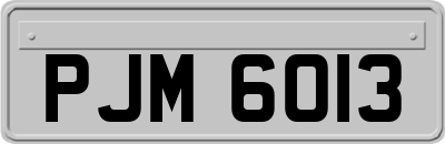 PJM6013