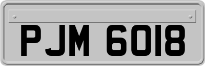 PJM6018