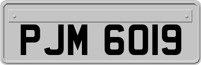 PJM6019