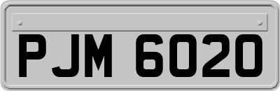 PJM6020