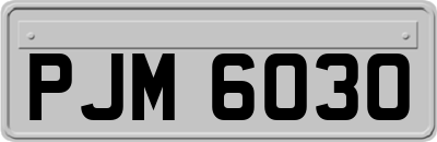 PJM6030