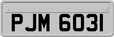 PJM6031