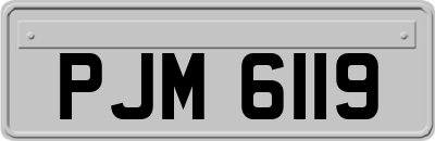 PJM6119