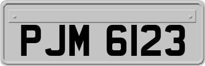 PJM6123