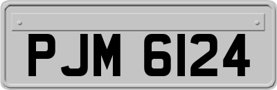 PJM6124