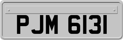 PJM6131