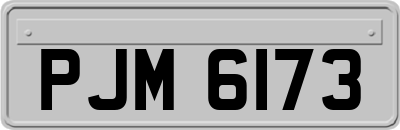 PJM6173