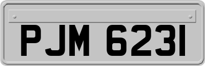 PJM6231