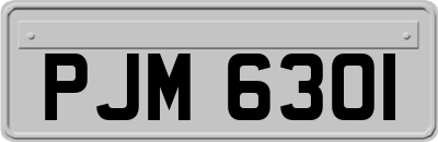 PJM6301