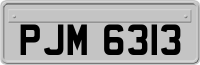 PJM6313