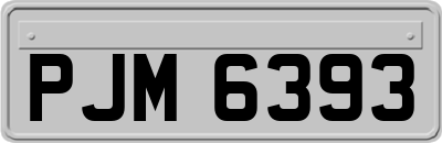 PJM6393