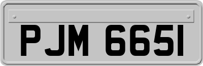 PJM6651