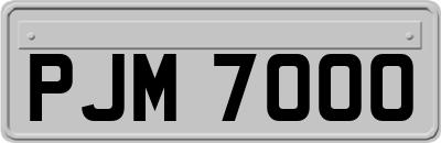 PJM7000