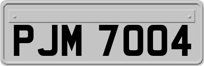 PJM7004
