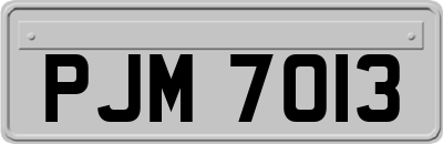 PJM7013