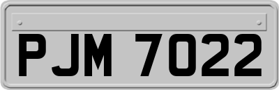 PJM7022