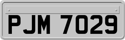 PJM7029