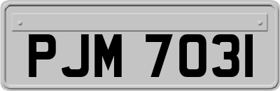 PJM7031