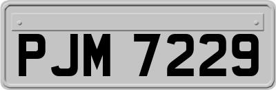 PJM7229