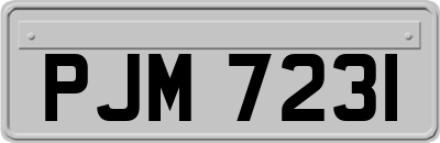 PJM7231
