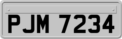 PJM7234