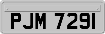 PJM7291