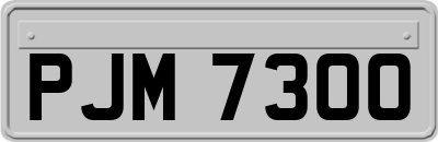 PJM7300