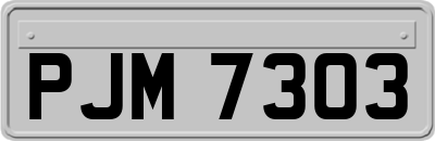 PJM7303