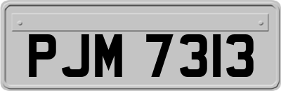 PJM7313
