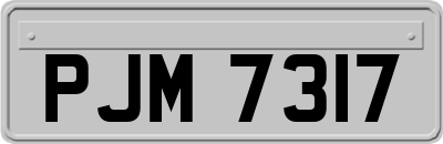 PJM7317