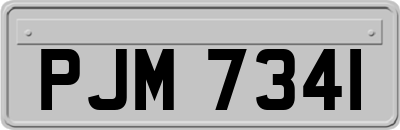 PJM7341
