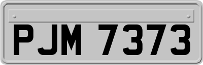 PJM7373