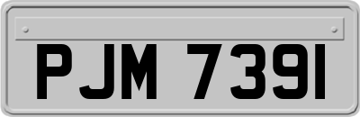 PJM7391