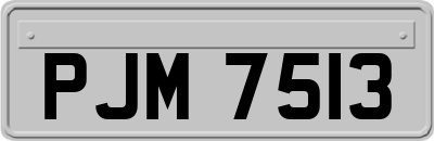 PJM7513