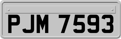 PJM7593