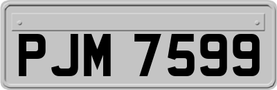PJM7599